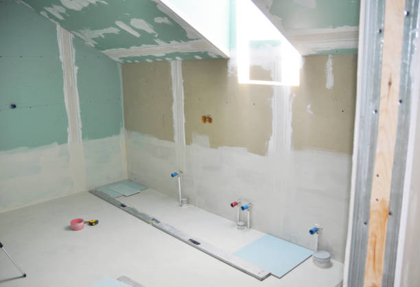 Gun Barrel City, TX Mold Removal Company